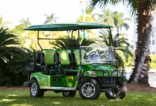 Electric Golf Carts and LSVs