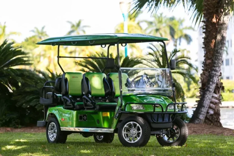 Electric Golf Carts and LSVs