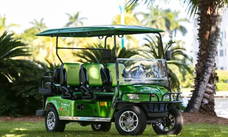 Electric Golf Carts and LSVs