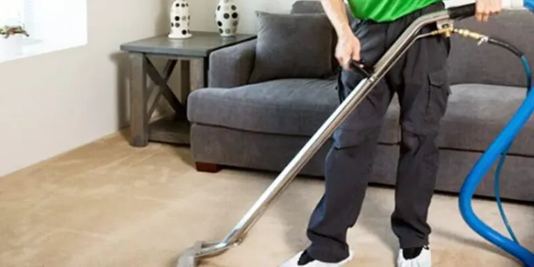 The Ultimate Guide to Carpet Cleaning in Northern Beaches: How Professional Services Can Enhance Your Home’s Cleanliness and Longevity